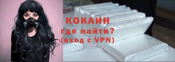 дживик Алексин