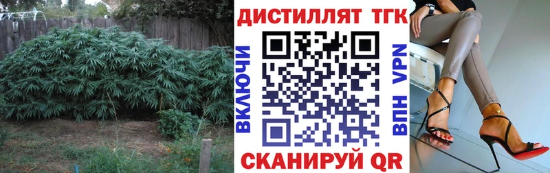 где найти   Сатка  Дистиллят ТГК гашишное масло 
