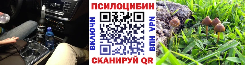 хочу наркоту  Сатка  Галлюциногенные грибы MAGIC MUSHROOMS 